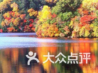 救援卡通熊仔