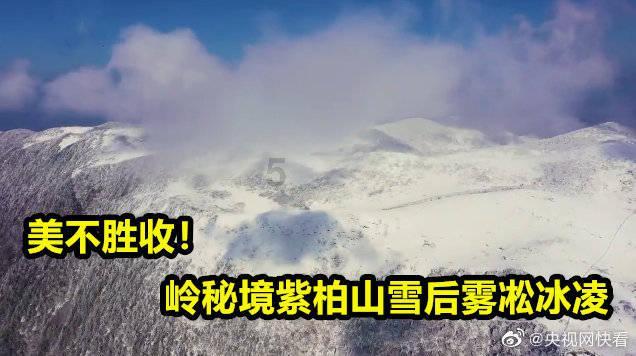 第二代长安X7 PLUS上市,手动档能否再现辉煌?