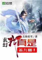 辐射4