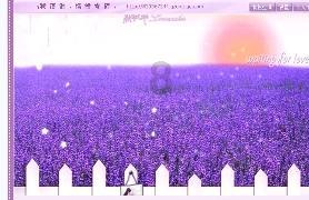 双重间谍