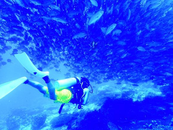 阿吉赛斯盘中异动 大幅拉升5.01%报86.99美元