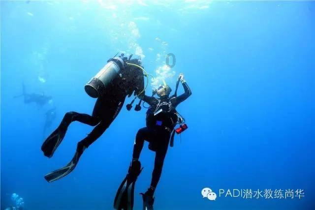 海滩小镇逃生
