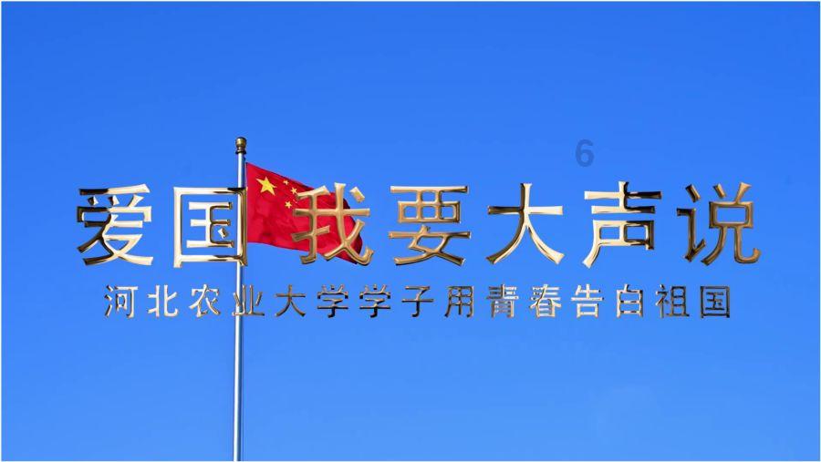 森林鸽营救