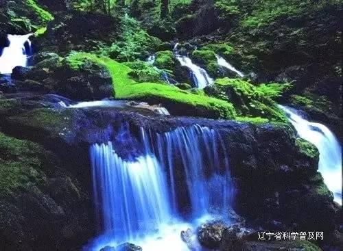 聚集知识,探索星球,怎么关闭淘宝音效知识星球平台