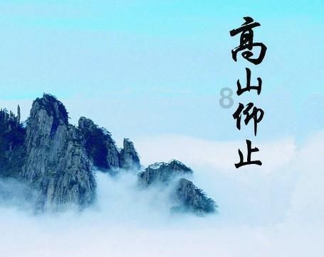 54岁许晴的房产疑困扑朔迷离,草丛旧照的背后真相引人瞩目
