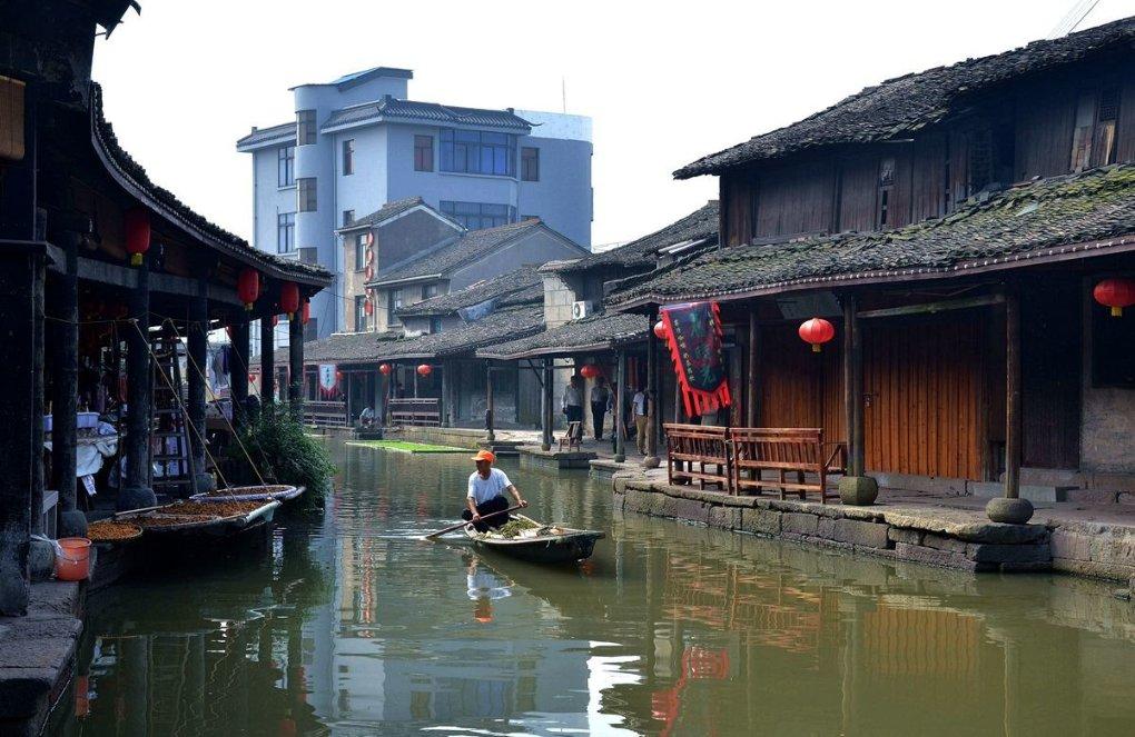 饥饿的松鼠救援