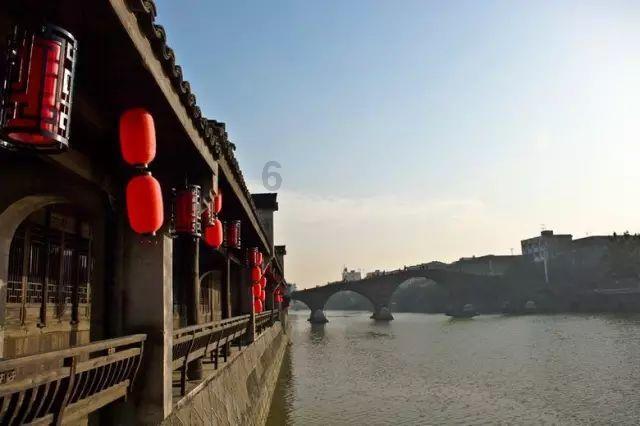 救援淘气的小狗